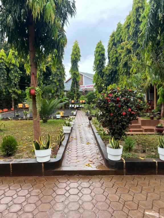 a garden with potted plants and a walkway at Kivuli Inn in Moshi