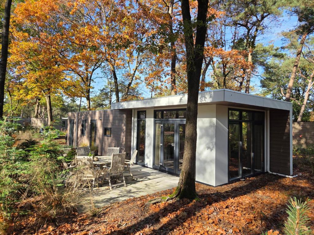 ein Haus im Wald mit einem Baum in der Unterkunft Natuurhuisje Hellendoorn in Haarle