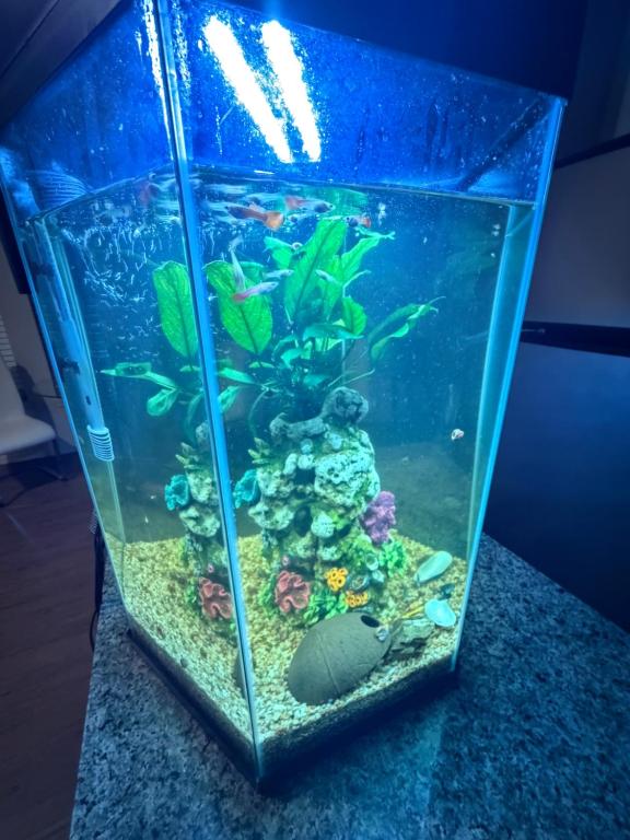 un grande acquario con molti pesci al suo interno di Townhome with fish Tank & Private Garage a Portland