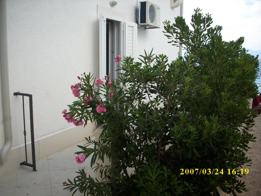 Zahrada ubytování Sea Star Apartment
