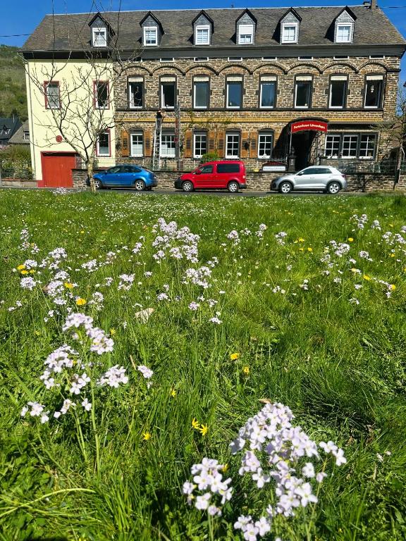 a field of flowers in front of a large building at Ferienhaus Löwenherz in Pommern