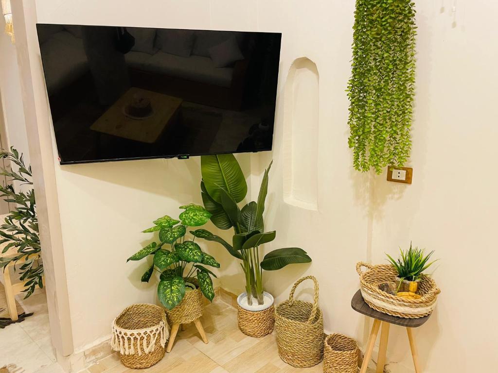 a living room with plants and a flat screen tv at Shali Home in Siwa