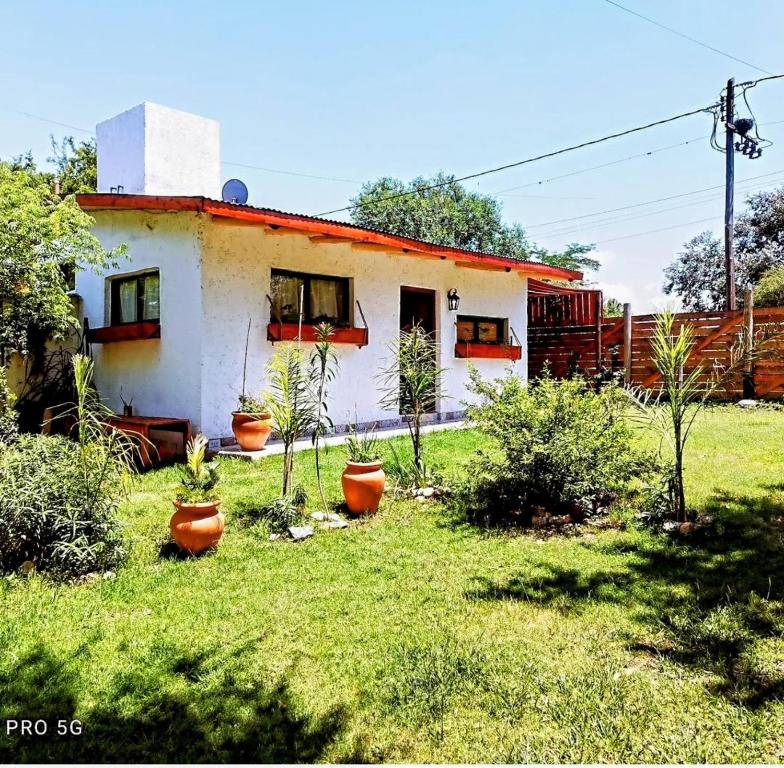 ビージャ・イチョ・クルスにあるCabaña Los Algarrobosの庭植物小白家