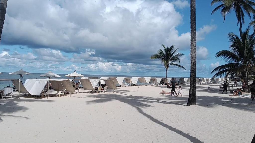 a beach with chairs and palm trees and the ocean at Hostal San Andres Vive in San Andrés