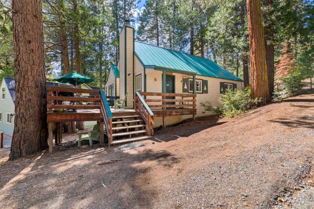 Příroda nedaleko prázdninového domu