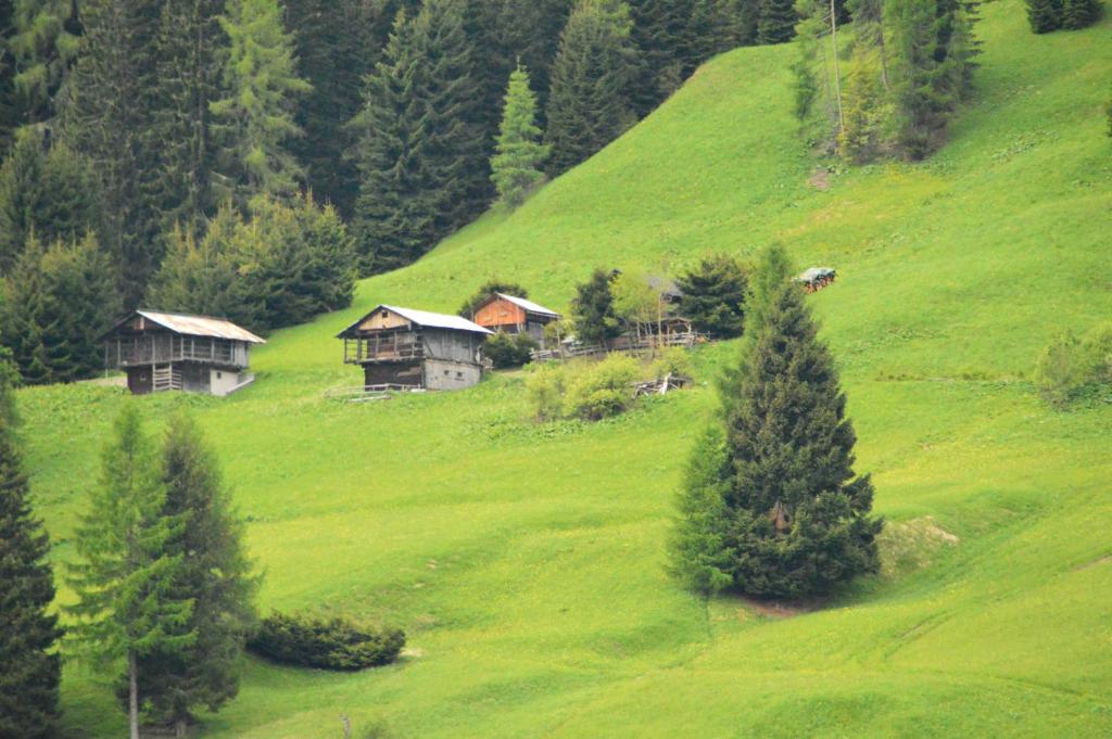 Una colina verde con casas encima. en Albergo Diffuso Costauta en Costalta