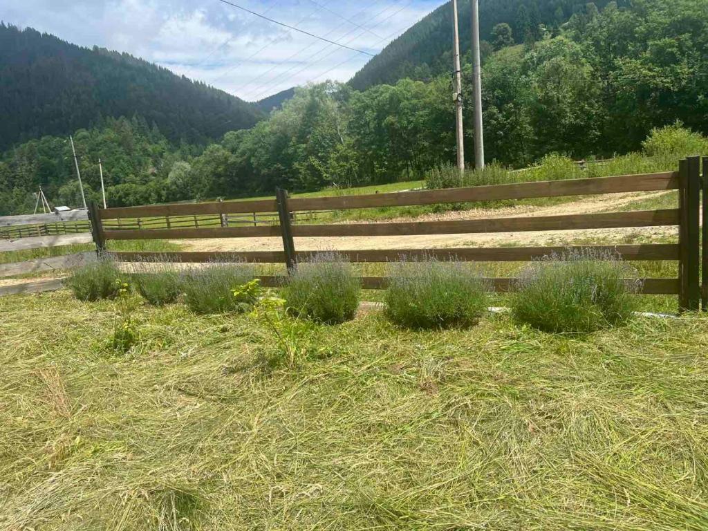 Φυσικό τοπίο κοντά σε αυτό το διαμέρισμα