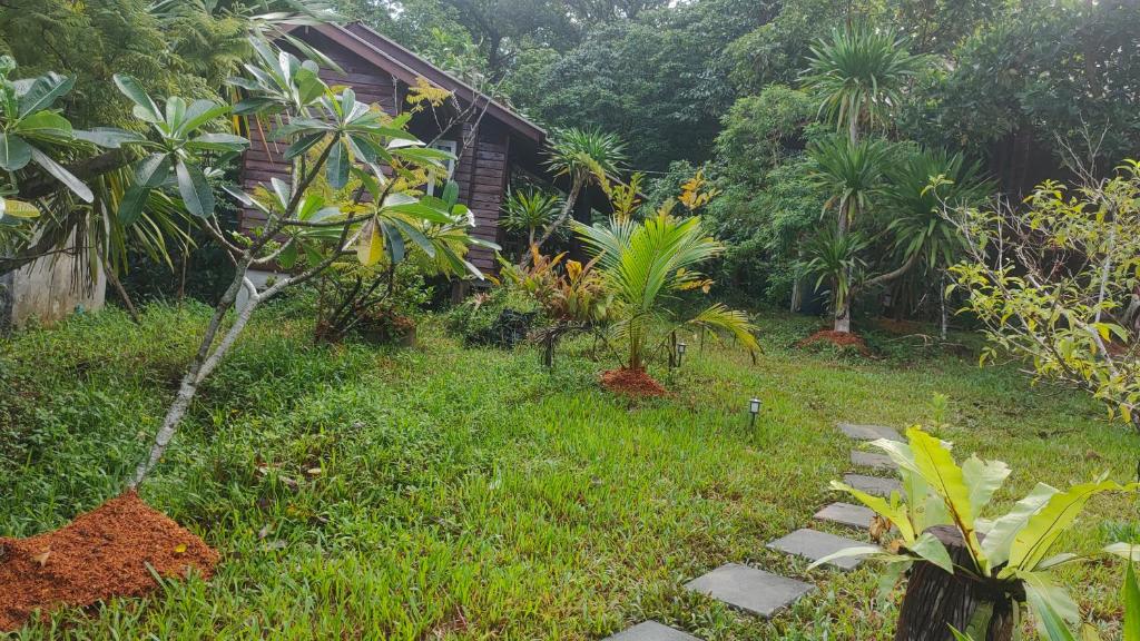 un jardin avec des palmiers et une maison dans l'établissement Relax House, à Ko Phayam