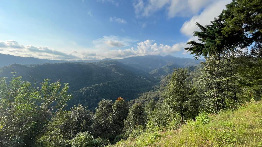 a view of a valley with trees and mountains at Hospedaje Los Pavo Reales in Tepoztlán