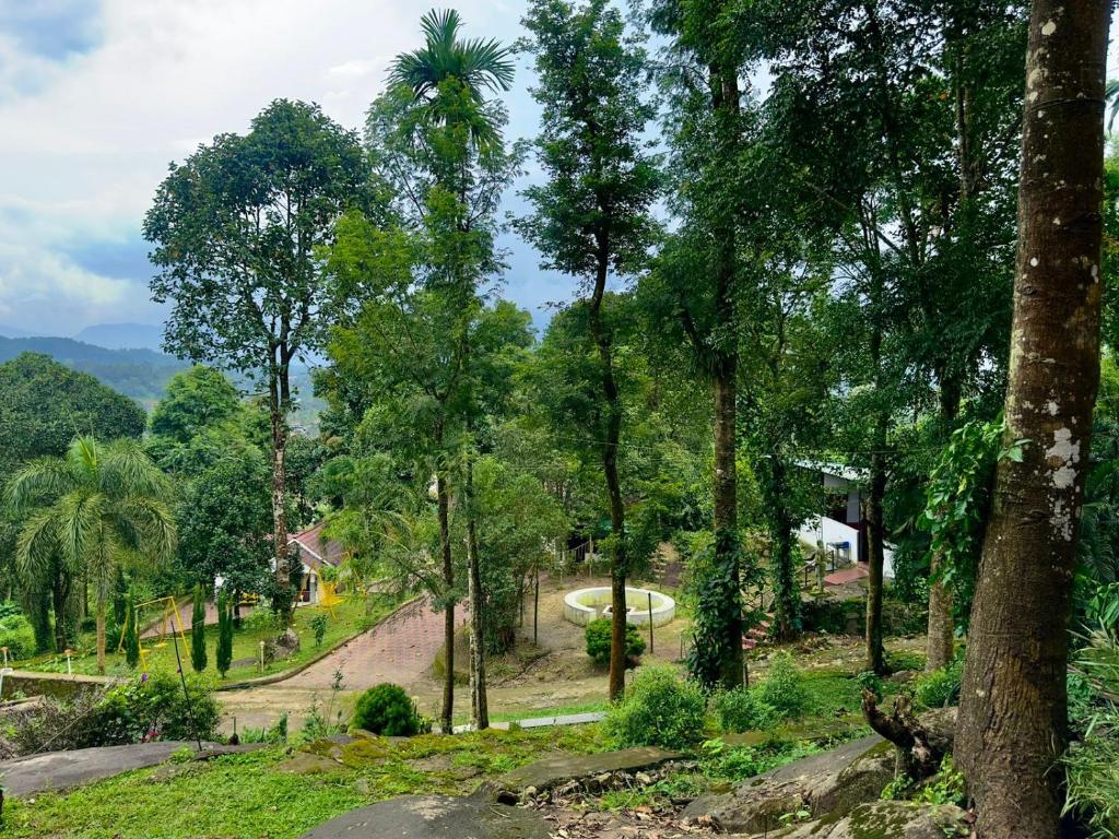 Φυσικό τοπίο κοντά σε αυτή η παραθεριστική κατοικία