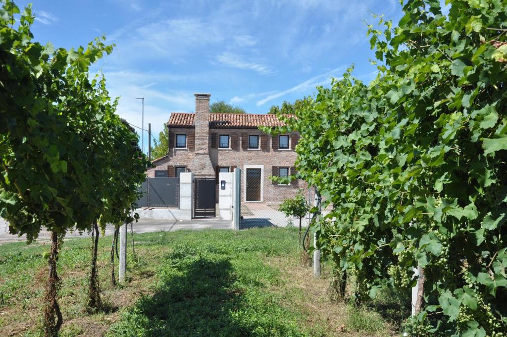 a house in the middle of a row of trees at Casa Sansovino in Pontecasale