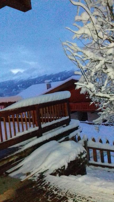 アパートメントの近くで見られる自然の景観