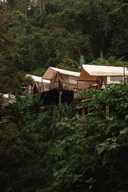 a house in the middle of a forest of trees at Pelaga Eco Park in Patjung