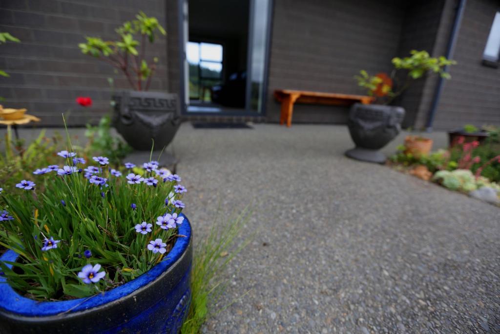 een blauwe pot gevuld met bloemen in een tuin bij Forest Charm by the Beach in Waitarere