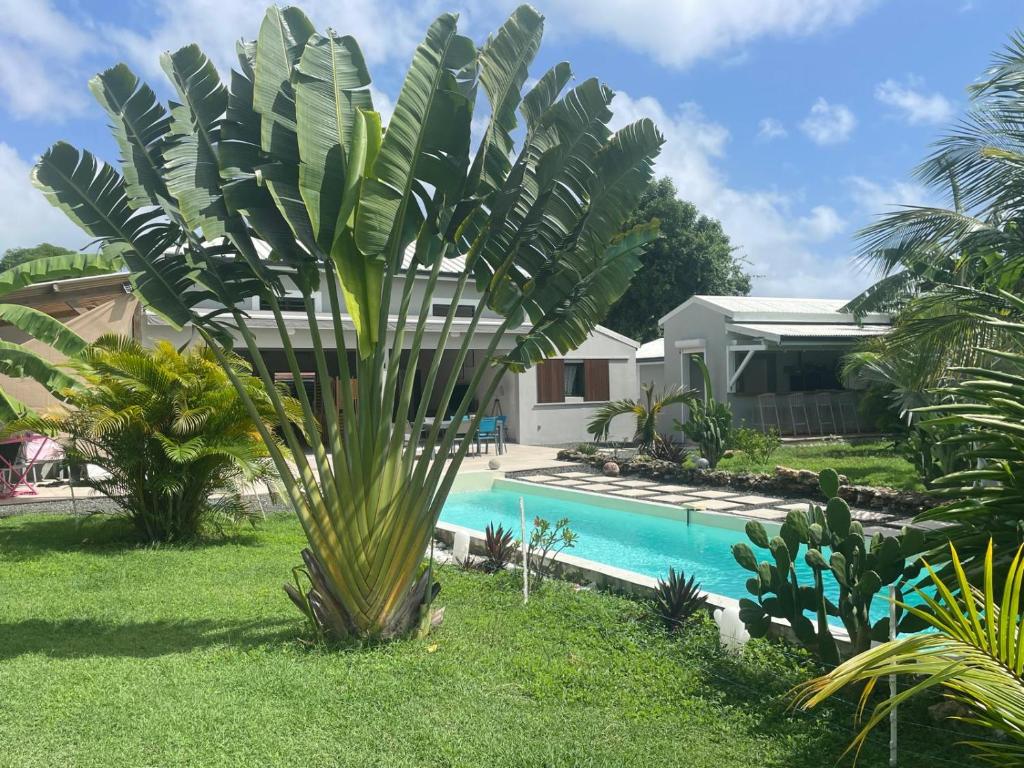 Bazén v ubytování Eden Paradise, Anse à la Barque nebo v jeho okolí