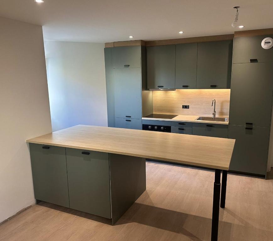 a large kitchen with a large wooden counter top at Charmant appartement aux portes de Strasbourg in Oberhausbergen