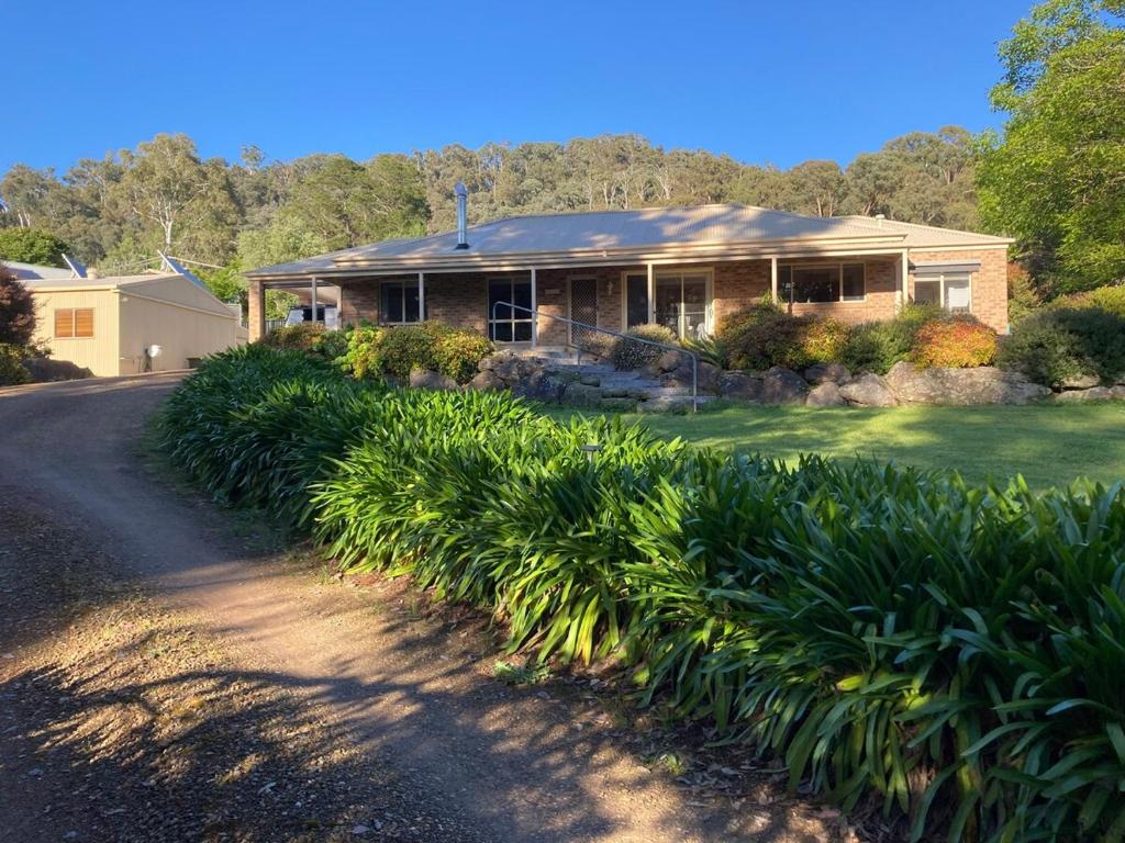 En have udenfor Home in Tawonga South