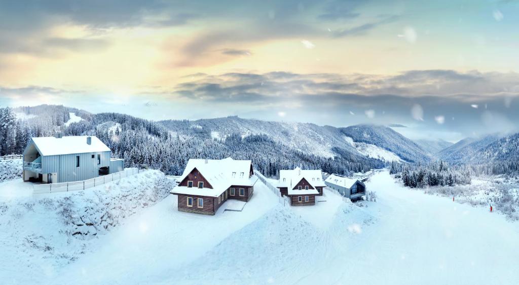 a group of houses covered in snow in the mountains at Apartmány a Štúdiá Lúčky, SKI-IN SKI-OUT ,Chopok Jasná, Demänovská dolina in Demanovska Dolina