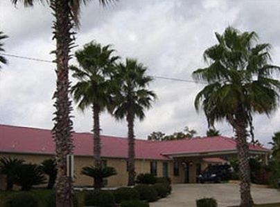 a group of palm trees in front of a building at Americas Best Value Inn Hazlehurst in Hazlehurst