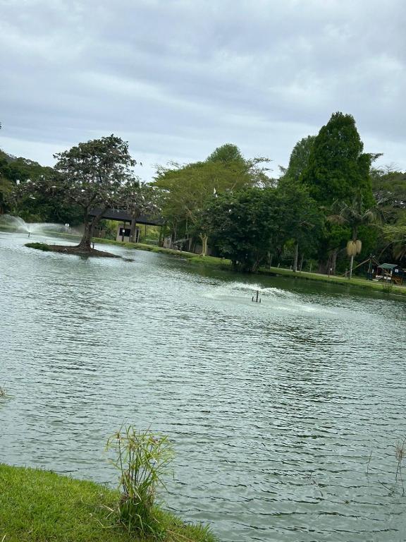 a body of water with a tree in the middle at Eden Wilds 42 in Port Edward
