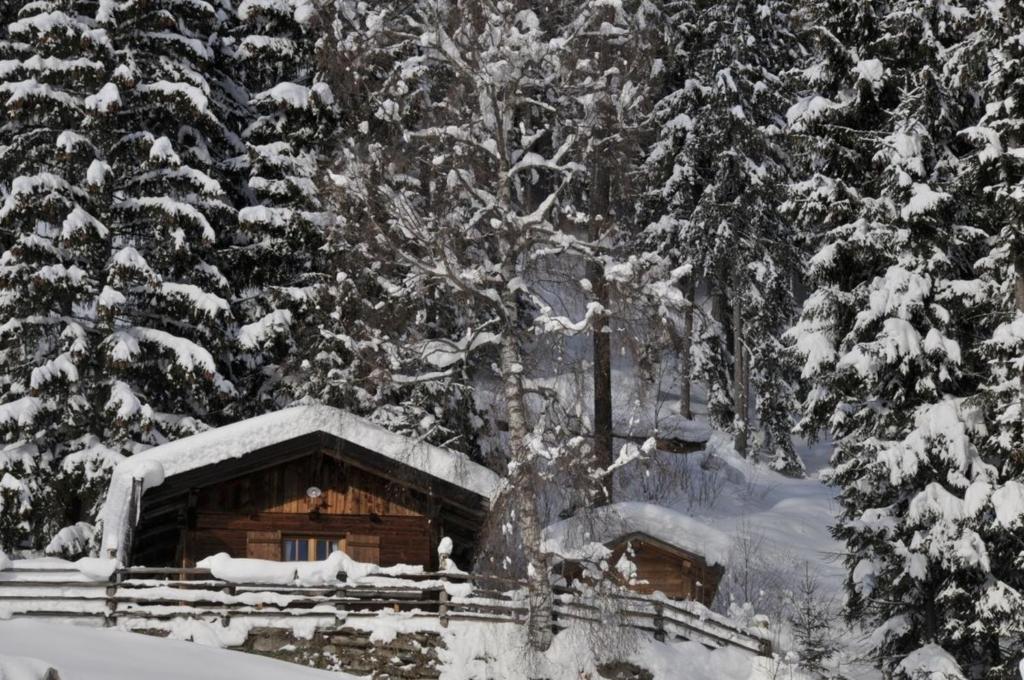 a cabin covered in snow in front of trees at Jägerhütte in Lutago