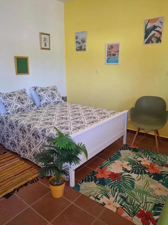 ein Schlafzimmer mit einem Bett, einem Stuhl und einer Pflanze in der Unterkunft Maison accueillante à Sainte-Rose, 25 m² et balcon in Duzer