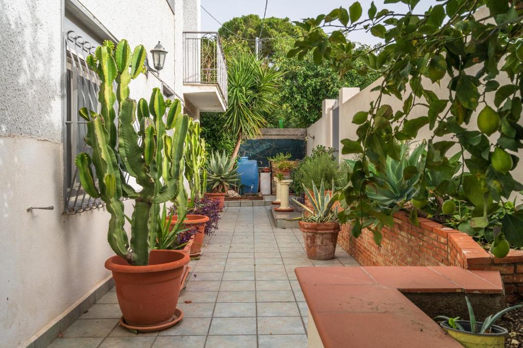 Κήπος έξω από το Eremo degli Oleandri with pool