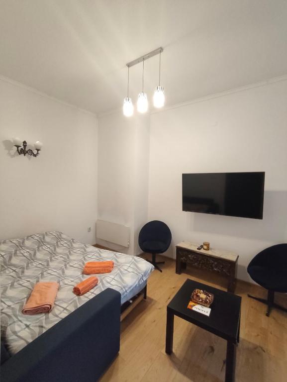 Μια τηλεόραση ή/και κέντρο ψυχαγωγίας στο Stylish apartment, top center with private Sauna