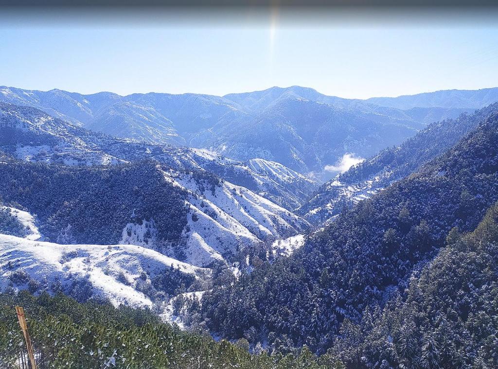 vistas a un valle nevado con árboles en Hotel Royal Cedar Simla, en Shimla