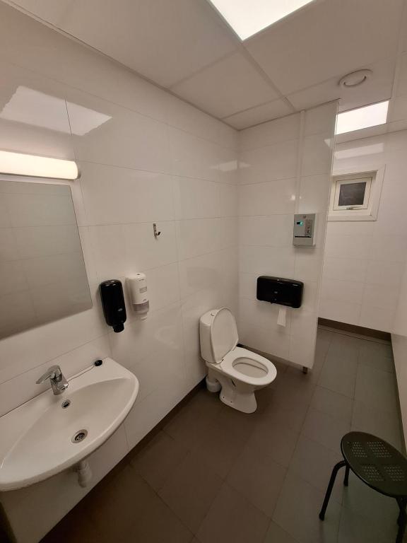 トロムソにあるEazy-Bed Norway's Smallest Hotelの洗面台とトイレ付きのバスルーム