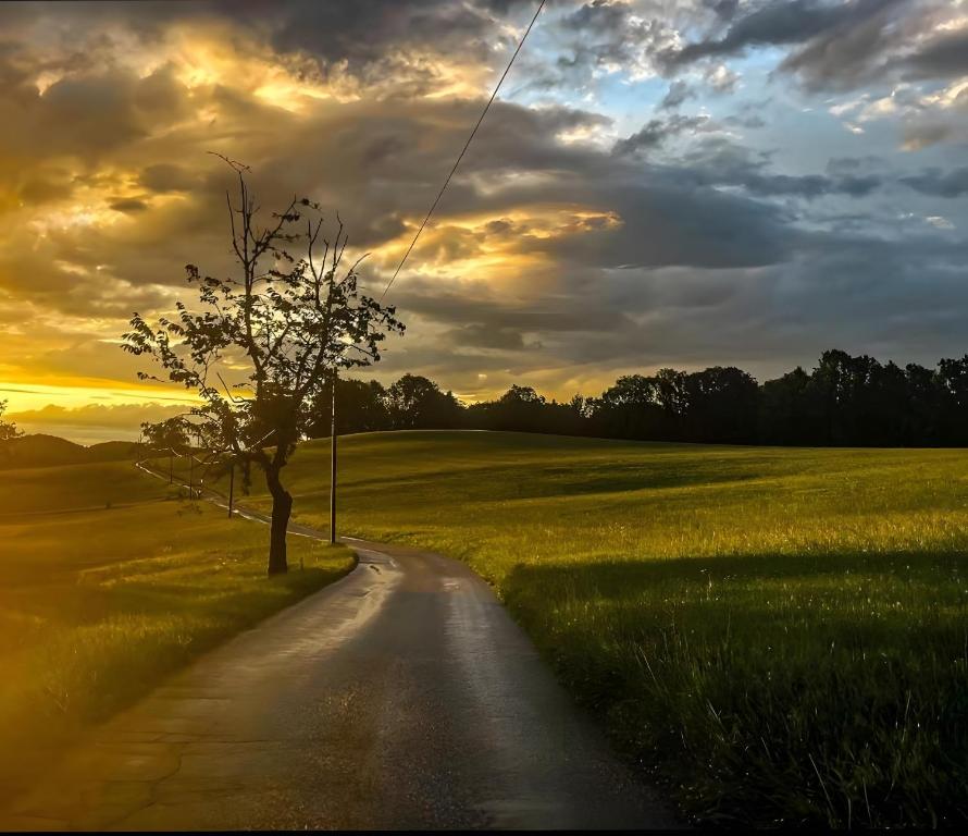 Příroda nedaleko prázdninového domu