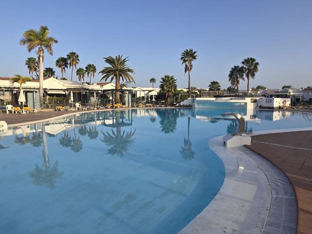 ein großer Swimmingpool mit Palmen in einem Resort in der Unterkunft Europe sun bungalow 2 bedrooms in Maspalomas