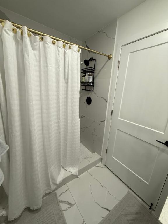 フロリダシティにあるThe serene suiteのバスルーム(シャワーカーテン、ドア付)