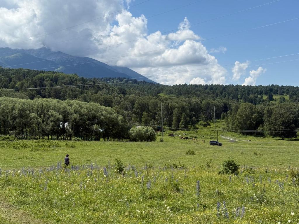 a person standing in a field of grass with mountains at Belovodye Katon Karagai in Altay