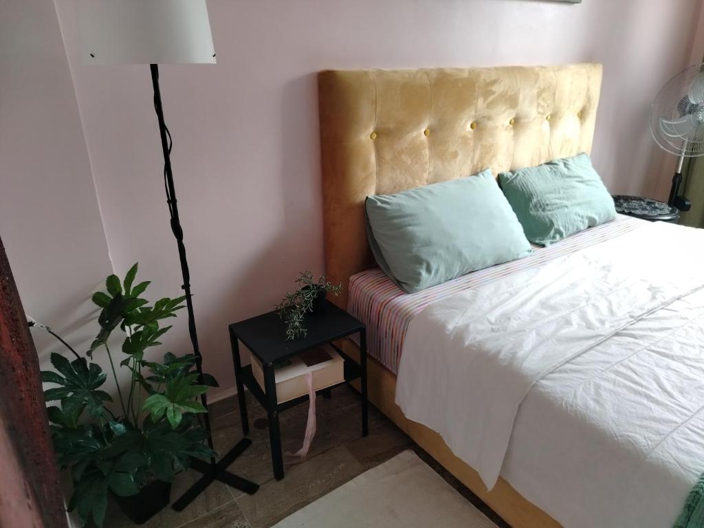 Postel nebo postele na pokoji v ubytování Appartement au centre rabat dyour jamaa