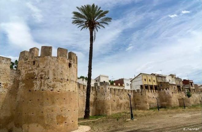una palmera junto a una muralla con un castillo en Exclusivo Apartamento ALZIRA, en Alzira