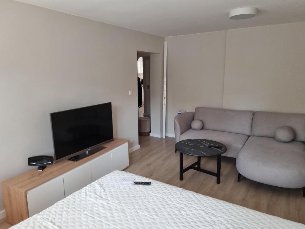 Μια τηλεόραση ή/και κέντρο ψυχαγωγίας στο Apartament Sobótka