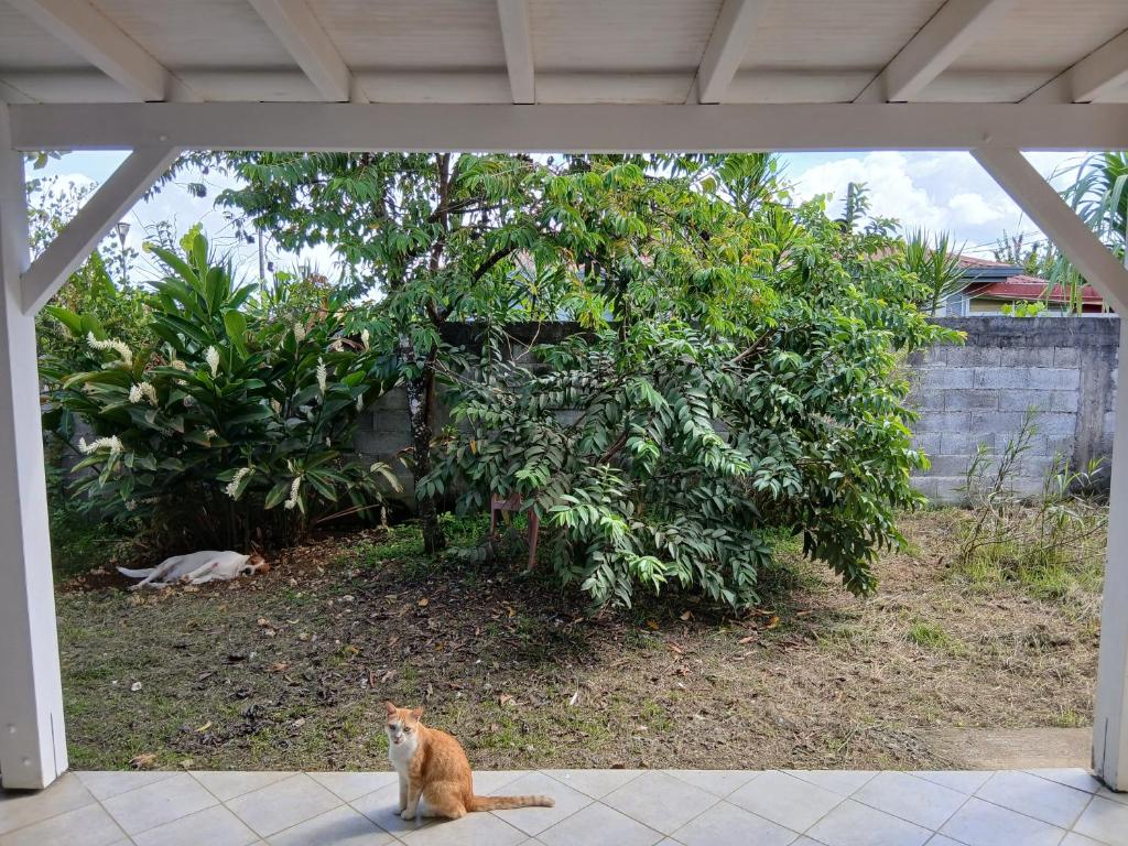 Zahrada ubytování La casa