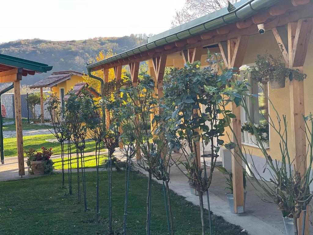 Κήπος έξω από το Maus Haus