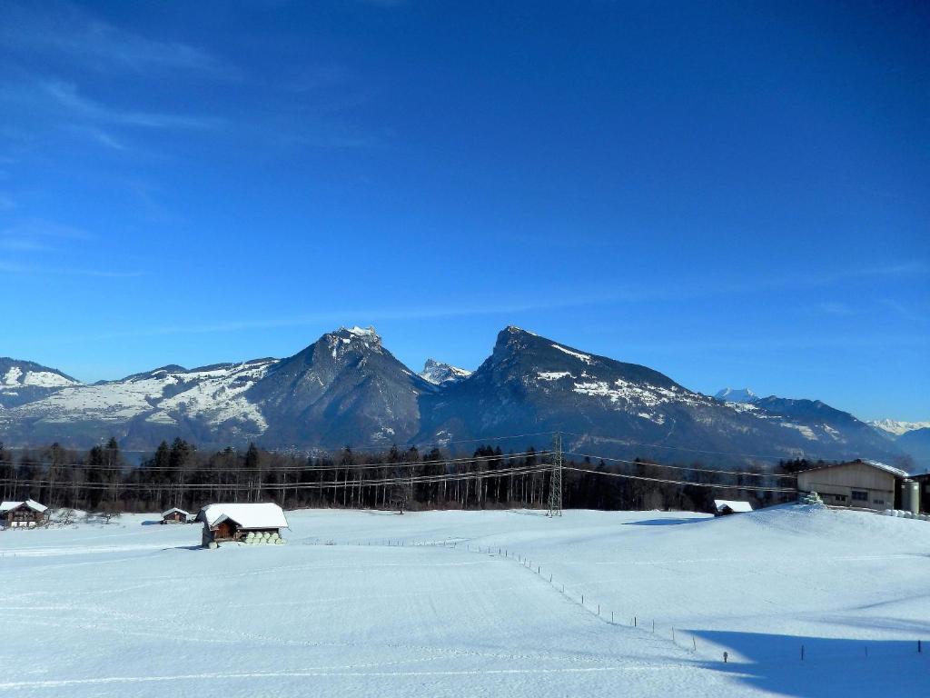 un campo cubierto de nieve con montañas al fondo en Pfrundmatte 12, en Aeschi bei Spiez