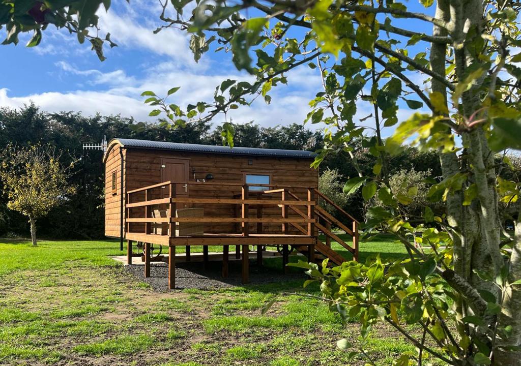 a wooden cabin in a field with a tree at The Apple Rest in Snitterfield