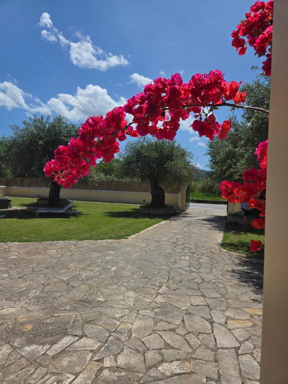 En have udenfor Olive Garden Villa