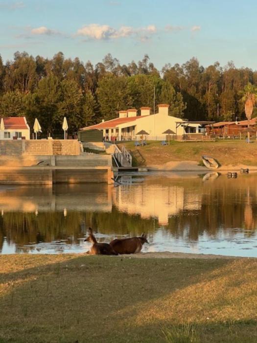 a horse swimming in a body of water at Monte do Lago, Pegões in Pegões