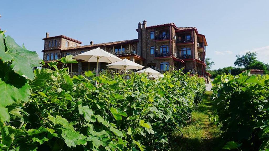 Zahrada ubytování Schuchmann Wines Château,Villas & SPA