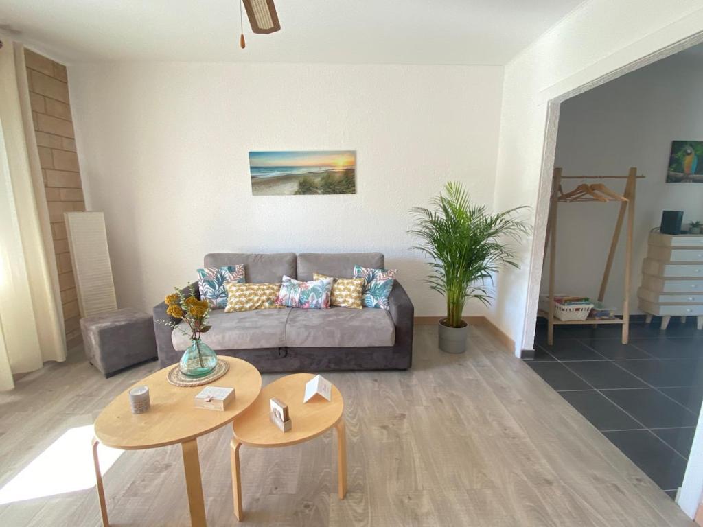 Expérience unique Explorer 3 pays depuis le même logement – photo 4