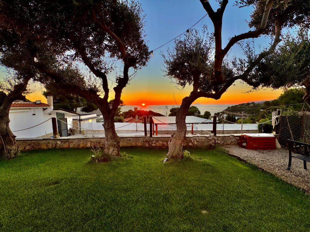 twee bomen in een tuin met een zonsondergang op de achtergrond bij Villa Acquamarina in Gaeta