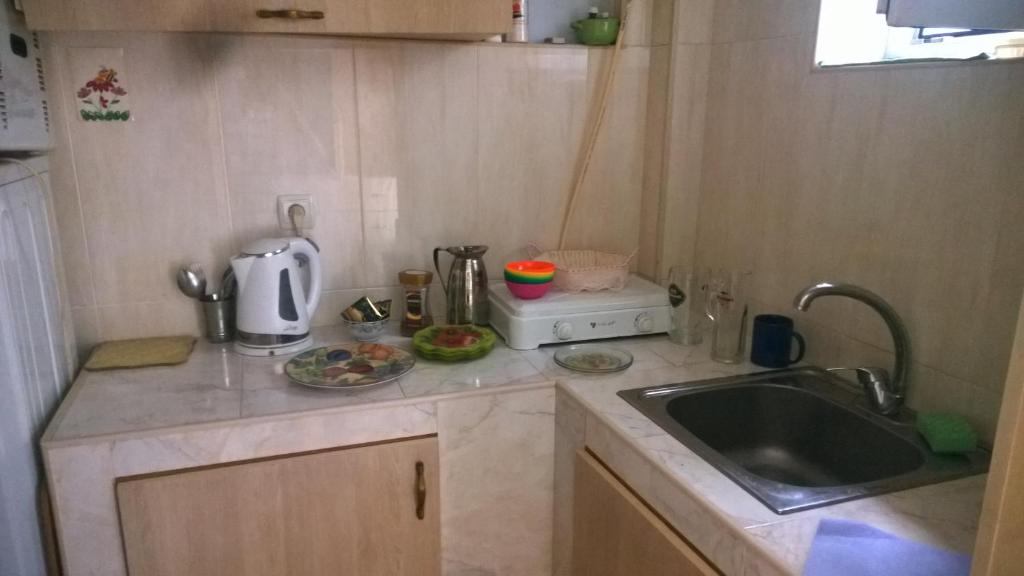 Kuchyň nebo kuchyňský kout v ubytování Guest House Edem