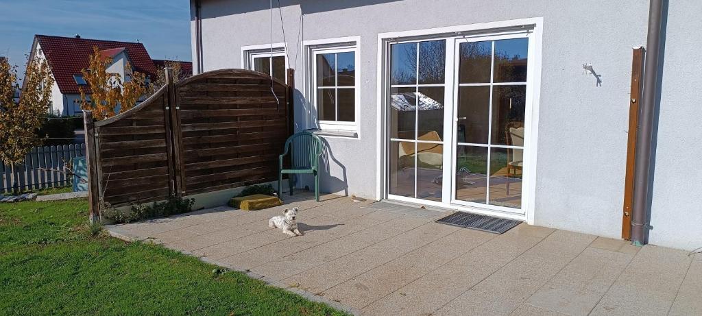 un gato está parado fuera de una casa en Domus Limes, RuheOase am Schloss, en Ellingen