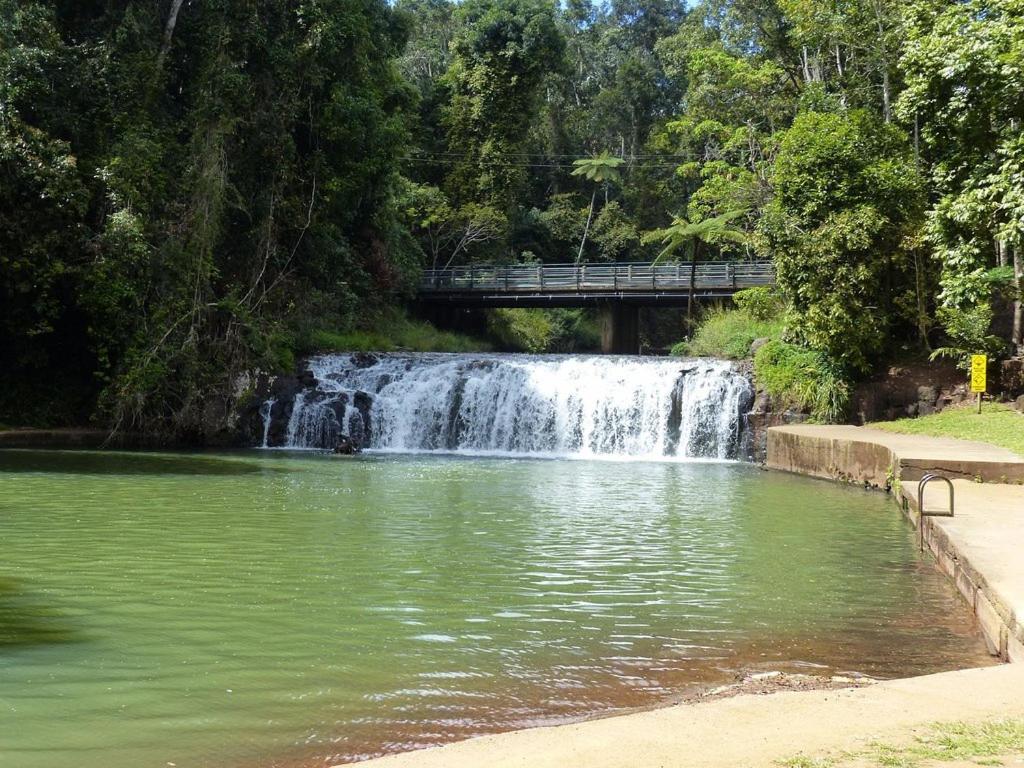 a waterfall in front of a pond with a bridge at Malanda Falls Retreat in Malanda