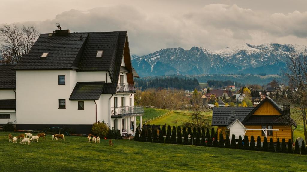 a white house with goats in a field with mountains at Willa Paula in Ząb